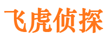 鸡西市私家侦探